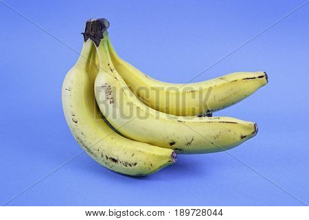 Mature Bananas