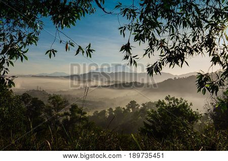 A calm and peaceful foggy morning accompanied by ray of lights formed as the sun rises above the horizon.  Branches of trees framing Mount Kinabalu elegantly in the background.