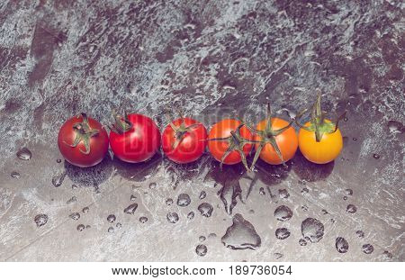 Perfect color gradation line of diverse kinds of tomatoes on wet surface