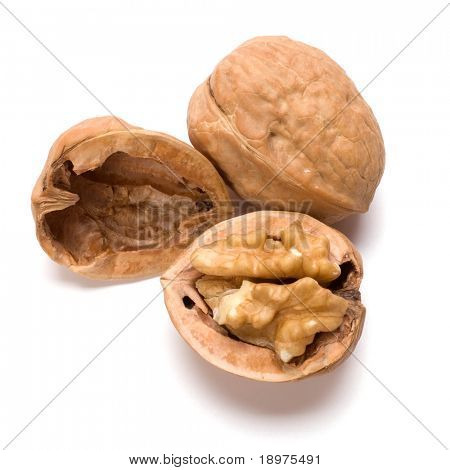 Noce circasso isolata on white background