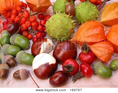 Otoño