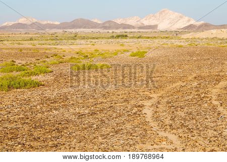 In Oman  The Old Mountain     Gorge