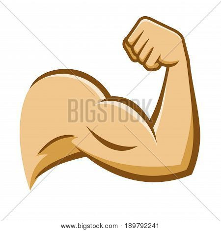 Vector stock of a strong muscular arm on a white background