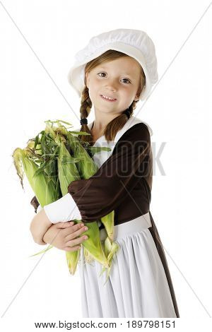An attractive young Pilgrim girl with an armload of fresh corn in the husks.  On a white background.