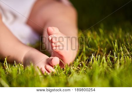 Small baby feet on the green grass at summer sunshiny day in the park. Cute baby in the white clothing. Horizontal croped photo. Concept of the happy babies.