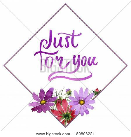 Wildflower kosmeya flower frame in a watercolor style isolated. Full name of the plant: kosmeya. Aquarelle wild flower for background, texture, wrapper pattern, frame or border.