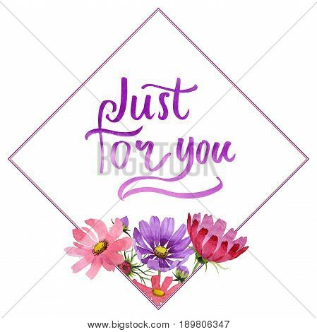 Wildflower kosmeya flower frame in a watercolor style isolated. Full name of the plant: kosmeya. Aquarelle wild flower for background, texture, wrapper pattern, frame or border.