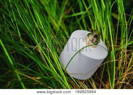 White bottle of perfume in green grass