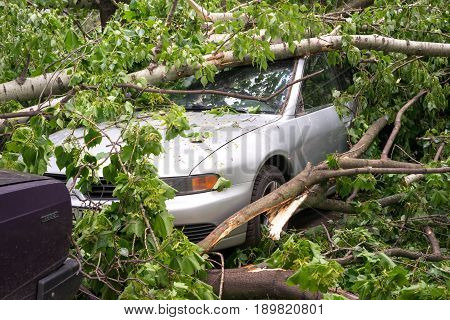 Moscow Russia - May 30 2017: car parked at the street and fully littered with trees after a hurricain
