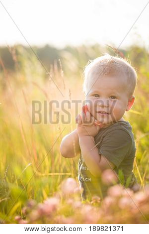 Portrait of cute toddler boy sitting on the grass on a summer meadow at sunset. Child having fun outdoors. Baby childhood and lifestyle concept
