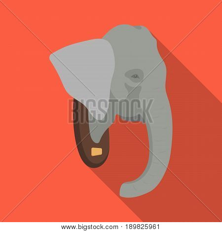 Stuffed elephant head.African safari single icon in flat style vector symbol stock illustration .