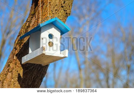 A white bird feeder with a blue roof hanging on a tree in the park. Caring for the brothers is our smaller concept. Spring came
