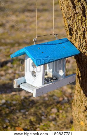 A white bird feeder with a blue roof hanging on a tree in the park. Caring for the brothers is our smaller concept. Spring came