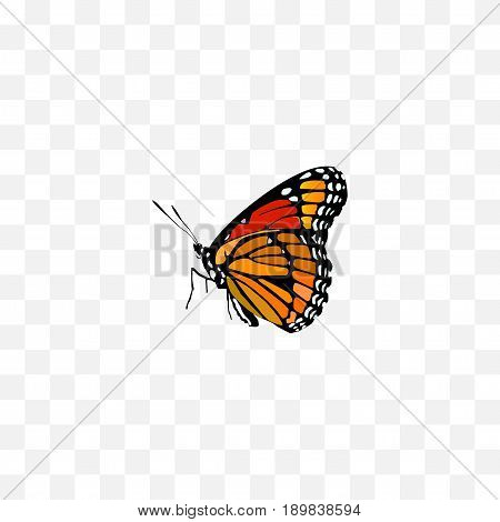 Realistic Painted Lady Element. Vector Illustration Of Realistic Milkweed Isolated On Clean Background. Can Be Used As Brown, Butterfly And Monarch Symbols.