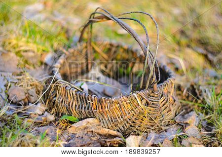 Old wicker basket on a green garden grass. Empty basket in the fallen leaves. Shallow depth of field very soft image.