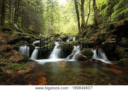 Forest stream Nature background Forest stream river Nature background Forest stream brook Nature background Forest stream spring deciduous trees water Nature background foliage leaves waterfall Nature background Natural environment Nature background.