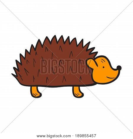 Vector cartoon illustration with hand drawn isolated brown hedgehog on white background. Vector cartoon animal icon. Hand drawn hedgehog for children book cover illustration. Zoo or forest animal