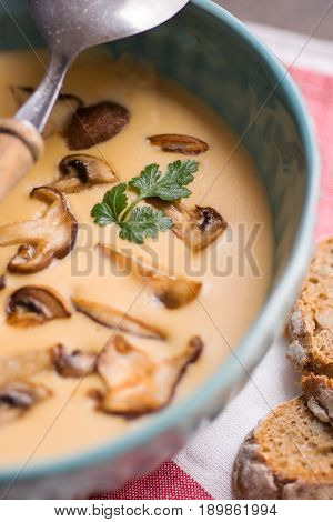 Cream Mushroom Soup in Bowl on Stone Background. Homemade Mushrooms Pottage Puree.