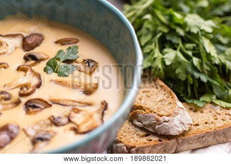 Cream Mushroom Soup in Bowl on Stone Background. Homemade Mushrooms Pottage Puree.