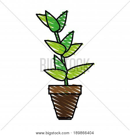 matera plants inside vector icon illustration design graphic sketch
