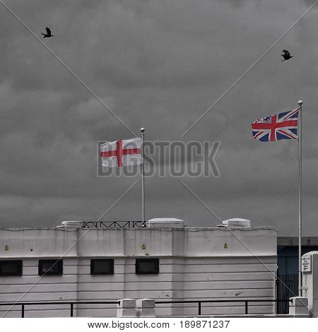 crows over england two crows flying over british flags in margate kent