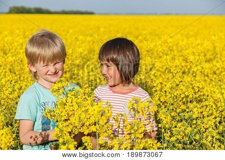 children in the field with the flowering yellow flowers of rape