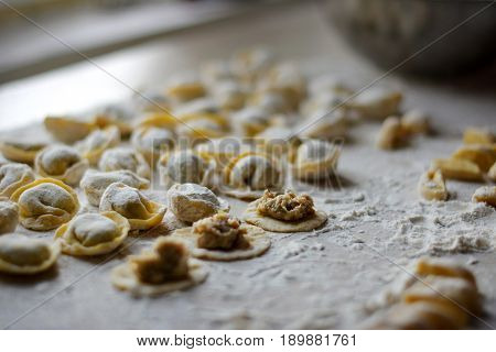 Process of making dumplings, raw ravioli in flour in details