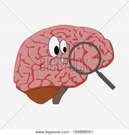 Human Brain Icon