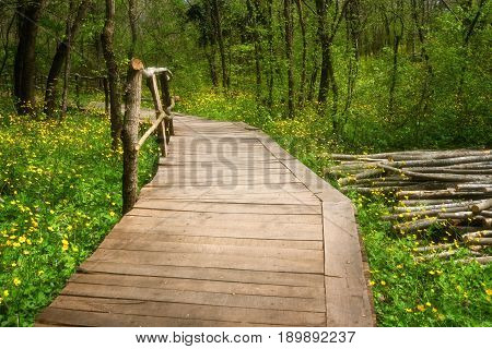 National Park Ropotamo Bulgaria. Wooden bridge leads to the Ropotamo river crossing green spring forest.