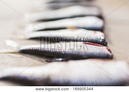 Fresh fish with silver scales and red fins without a head lies on a light wooden background.