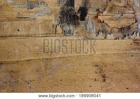 Old Weathered Plywood Background