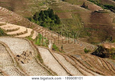 Ancient beautiful rice terraces of Longsheng near Guilin Guanxi province China