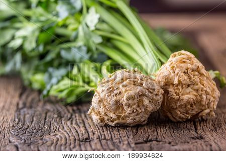 Celery root. Fresh celery root with leaf on rustic oak table.