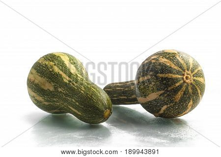 Goianinha Pumpkin. Cucurbita Moschata