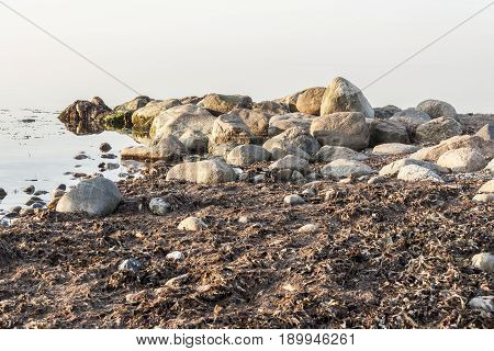 View on Coast in Augustenhof Denmark Europe.