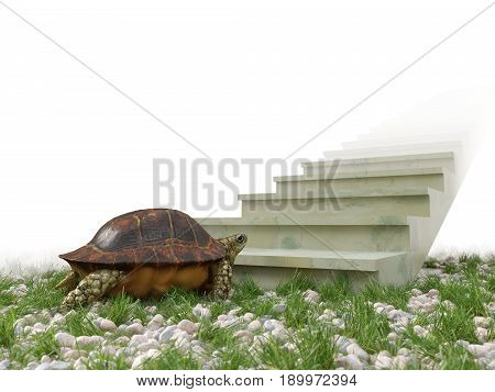 moving turtle wants to climb on the stairs concept background