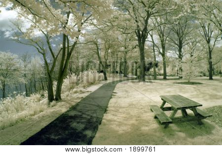 Picnic Table In The Park