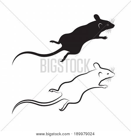 Vector of a rat design on white background. Mammal Animal.