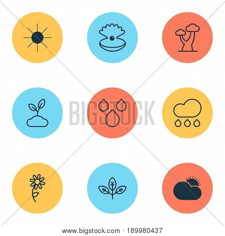 World Icons Set. Collection Of Plant, Sprout, Sunflower And Other Elements. Also Includes Symbols Such As Cloudburst, Oak, Sun.