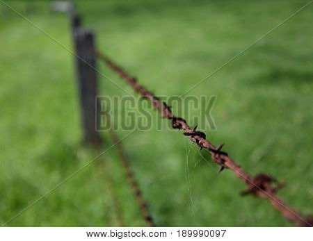 Closeup of rusty old fashioned corroded barbed wire. Rusty barbed wire in the countryside. Close-up of old rusty twisted barbed wire with green grass background.