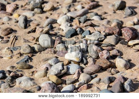 close up stones on sandy beach baltic sea, latvia