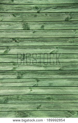 old aged tree wood texture close up