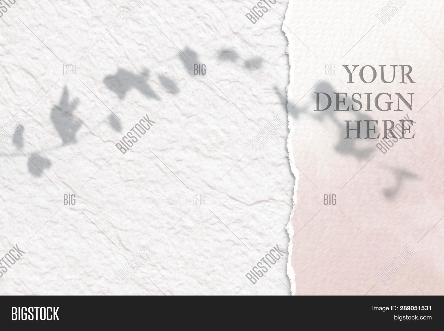 Background Two Things Two Textured Image & Photo (Free Trial) | Bigstock