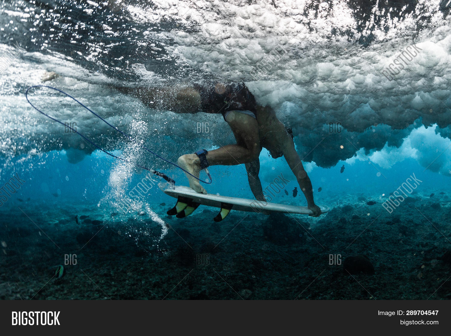 Surfer Performs Dive Image & Photo (Free Trial) Bigstock