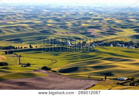 Rolling hills in Washington state at Palouse under sun set