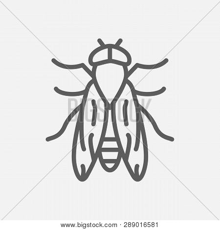 Horsefly Icon Line Symbol. Isolated Vector Illustration Of  Icon Sign Concept For Your Web Site Mobi