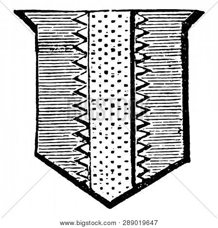 Radient having rays or beams about it. vintage line drawing or engraving illustration.