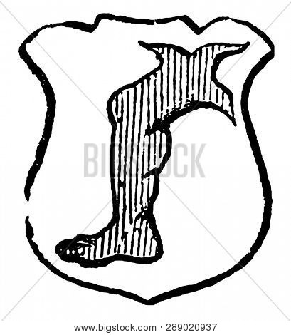 Leg Erased are generally applied to the head and limbs of man or beast, vintage line drawing or engraving illustration.