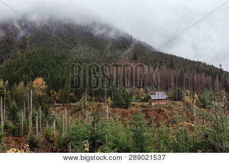 Autumn View, Yellow Green Trees And Snow-capped Mountains. Morske Oko, Poland, Europe