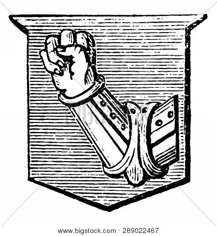 Arm with Fist Clenched is a dexter arm vambraced couped, vintage line drawing or engraving illustration.